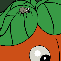 Wanderfuehrer