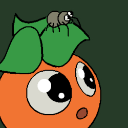 Spruehflasche